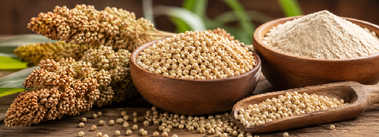 Foxtail Millet