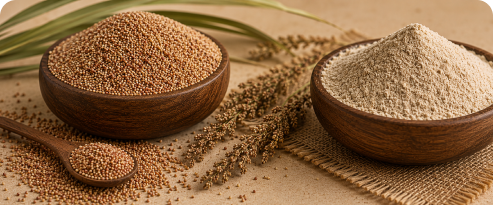 Browntop Millet